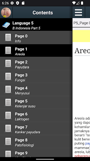 Pratinjau aplikasi