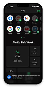 Turtle: Digital Privacy