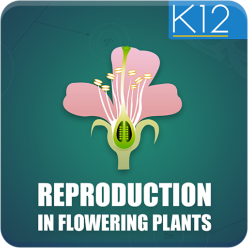 Reproduction-Flowering Plants 1.0 Icon