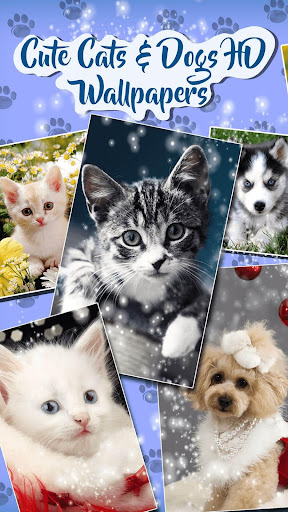 Android application Cute Cat & Dog Live Wallpapers screenshort