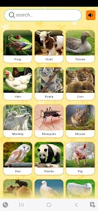 Real Animal sounds 2