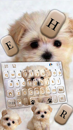 Innocent Puppy Keyboard Theme Screen 2