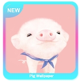 Pig Wallpaper icon