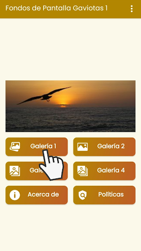 Android application Fondos de Pantalla Gaviotas 1. screenshort