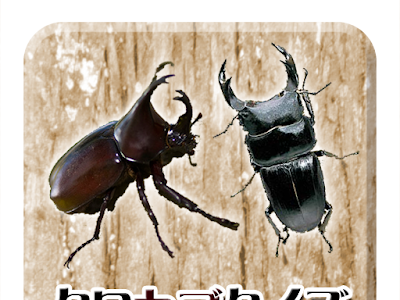 √画像をダウンロード カブトムシ 画像 236477-カブトムシ 画像 メス