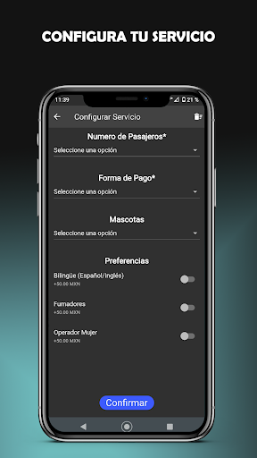 Radio Taxi PDC Screen 3