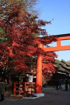 日本の秋のパズルのおすすめ画像1