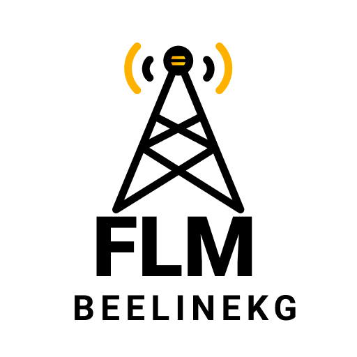 FLM BeelineKG  Icon