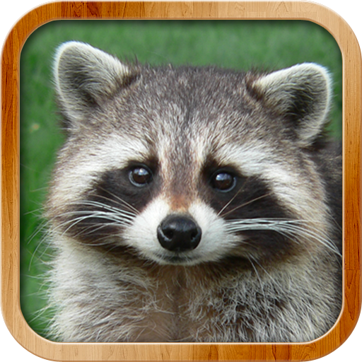 Kids Learn About Animals 8.9.4 Icon