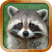 Top 37 Educational Apps Like Kids Learn About Animals - Best Alternatives