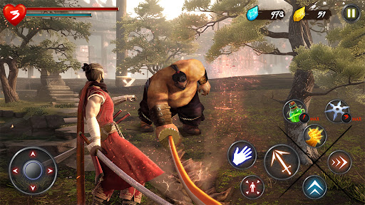 Takashi Ninja Warrior - Role Playing - games