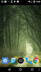 creepy forest wallpapers