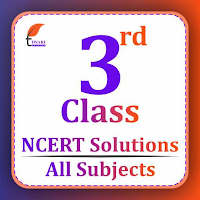 Class 3 all Subjects Solutions