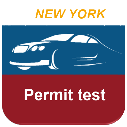 DMV New York. Practice Drive игра. They driving to new york