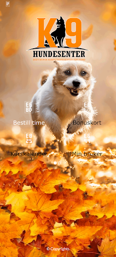 K9 Hundesenter Screen 3