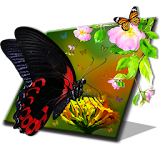 Butterfly Live wallpaper icon