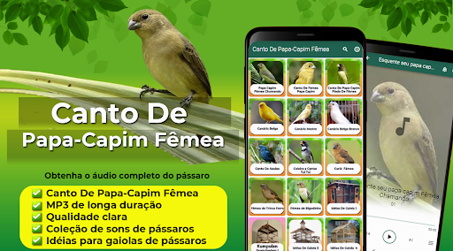 Android application Canto De Papa-Capim Fêmea screenshort