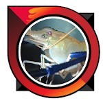 Cover Image of Download giant prawn cultivation 8.0 APK