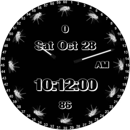Time Flies Watch Face Screen 2