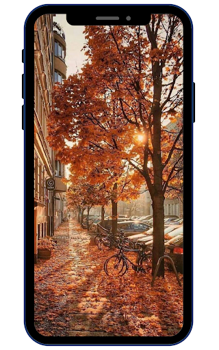 Android application Autumn Wallpapers screenshort
