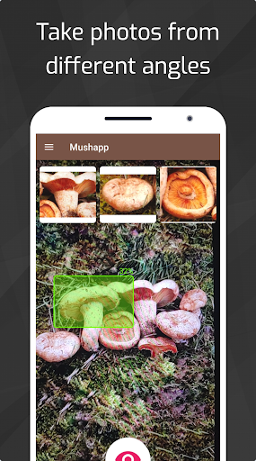 Mushrooms - AI Identifier Screen 2