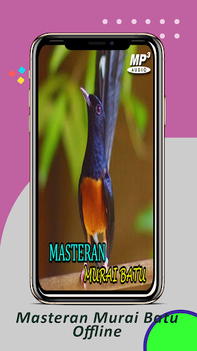 Android application Masteran Murai Batu Offline screenshort
