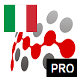 ITALIAN IRREGULAR VERBS PRO CONJUGATION + PREP. icon
