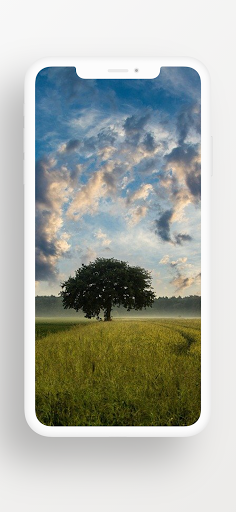 Sky Wallpapers - HD, QHD, FULL