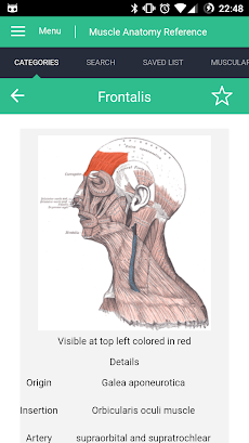 Muscle Anatomy Reference Guideのおすすめ画像5