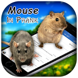 3D Mouse In Phone Prank icon
