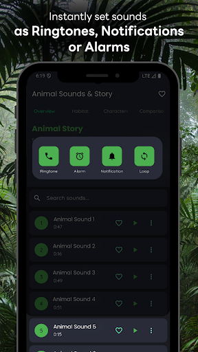 Hawk Sounds and Story