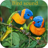 Bird Sound icon