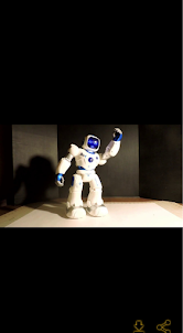 Ruko smart robots guide