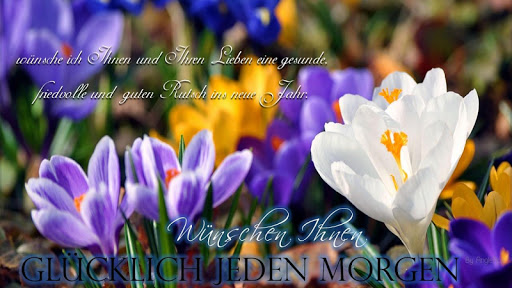 German Good Morning Images Screen 2