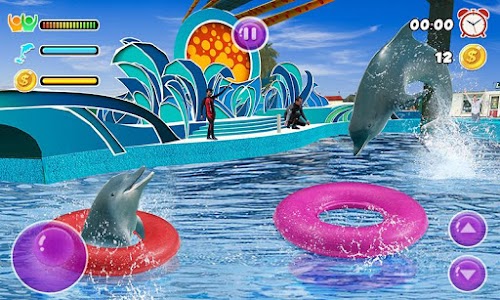 Dolphin Water Stunts Show Unknown