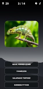 Animal Quiz: Guess the Animal 1