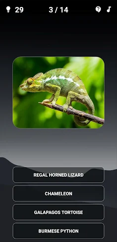 Animal Quiz: Guess the Animal - Screenshot 1