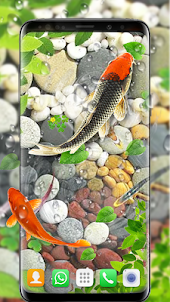 أسماك كوي خلفيات حية ثلاثية