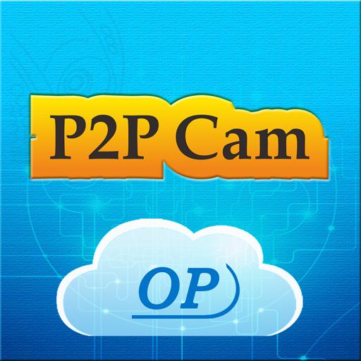 p2p ip