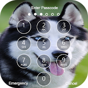 Top 38 Personalization Apps Like Siberian Husky Lock Screen & Wallpapers - Best Alternatives