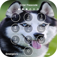 Siberian Husky Lock Screen & Wallpapers