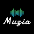 Muzia: Music on Display1.2.2 (Premium)
