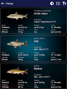 Fishing forecast Screenshot