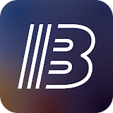 Biport Multichain CryptoWallet icon