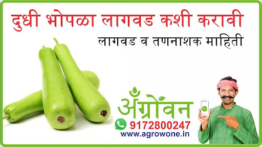 लसूण लागवड #Agrownet™ Screen 2