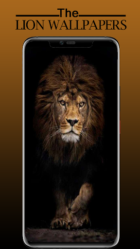 Android application Lion Wallpaper, Sher Ka Photo screenshort