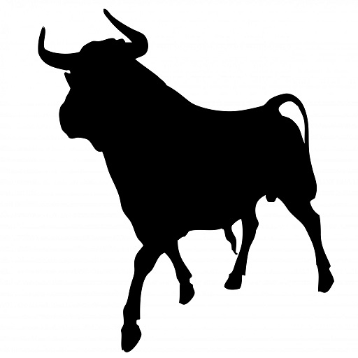 Bull Sound logo