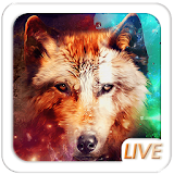 Wild Wolf Live wallpaper icon