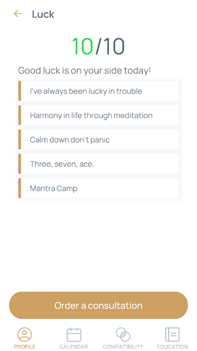Numerology Calculator Screen 3