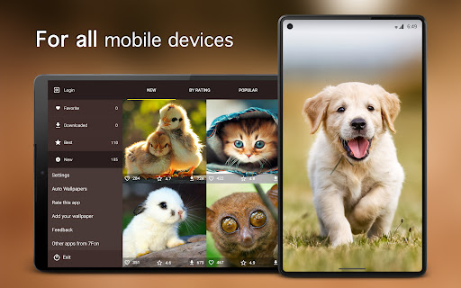 Screenshot of Cute Animal Wallpapers 4K